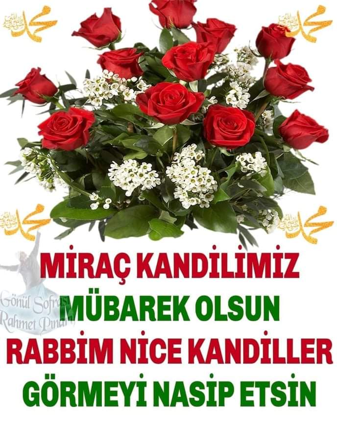 mertoğlu can dostu 🌝🌙🌈 (@hazalsuba8) on Twitter photo 