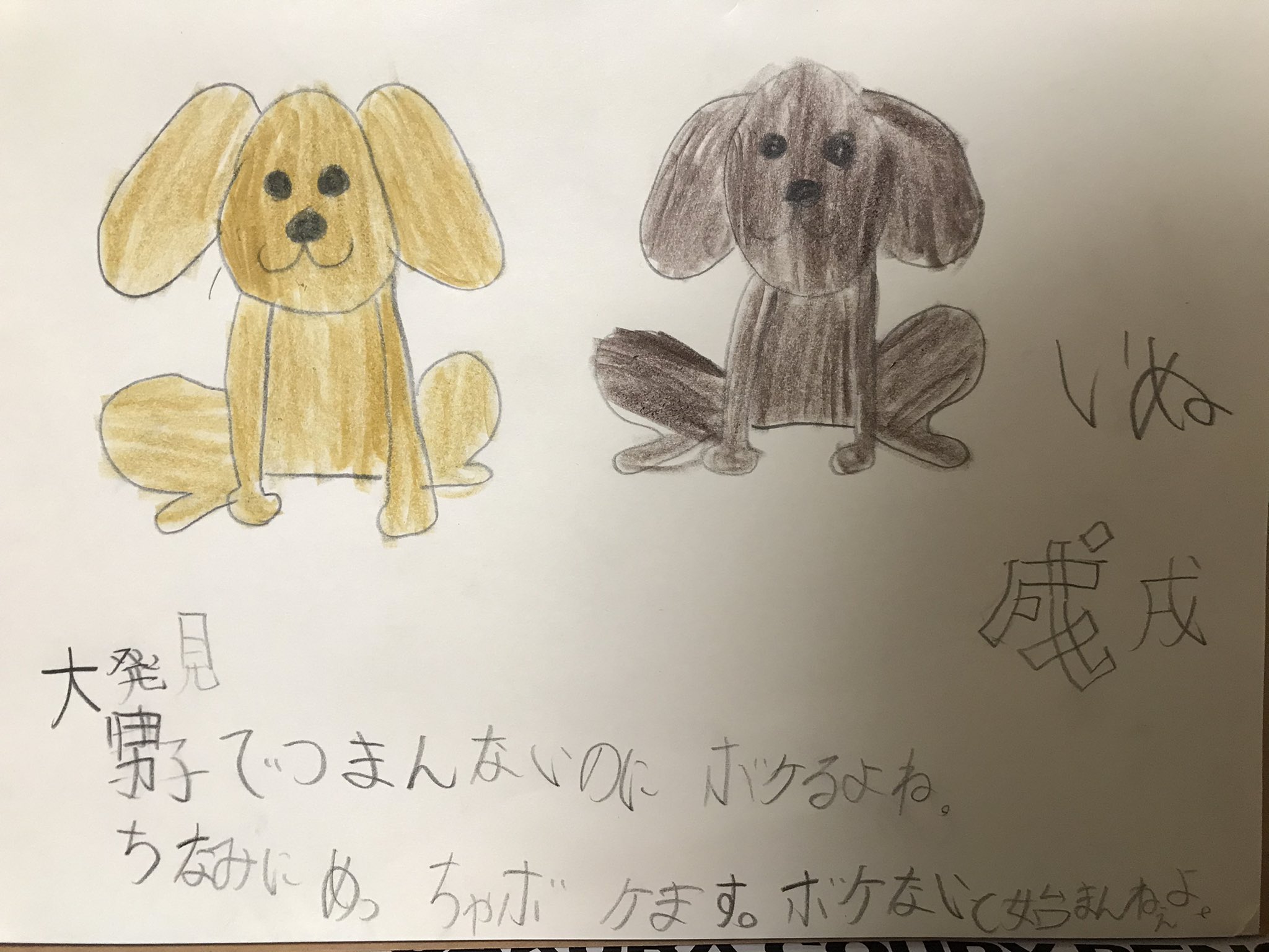 かに お絵描き特訓中 3 10 戌 トイプーかな イラスト イラスト初心者 お絵かき お絵かき初心者 絵描き 絵描き初心者 絵描きさんと繋がりたい イラスト好きな人と繋がりたい イラスト好きさんと繋がりたい 犬 戌 いぬ イヌ いぬいらすと