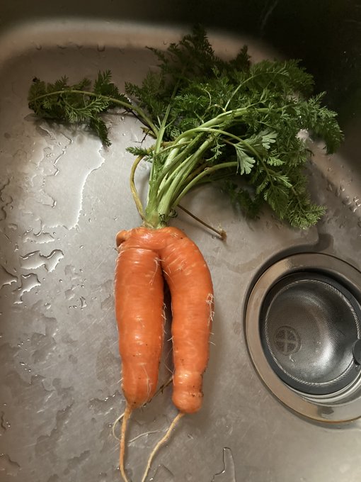 人参のtwitterイラスト検索結果 古い順