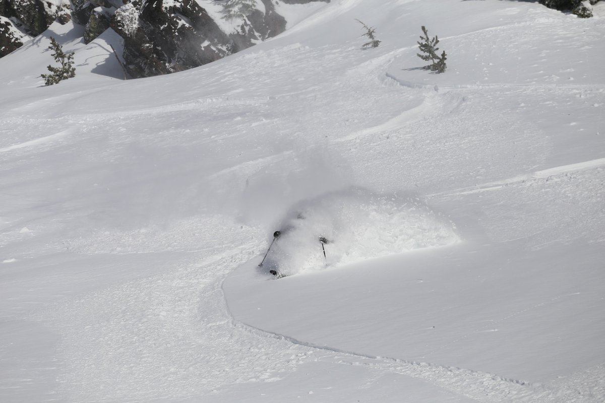 ShredHood tweet media