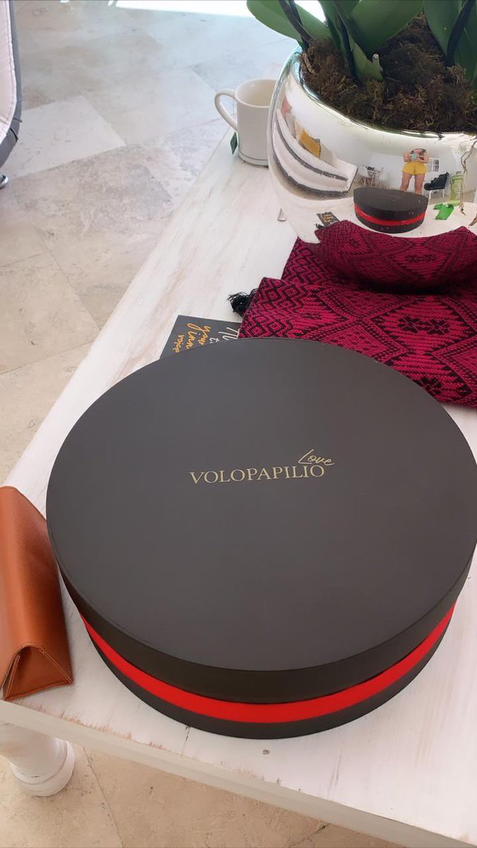 VOLOPAPILIO tweet media