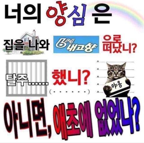 의의 tweet media