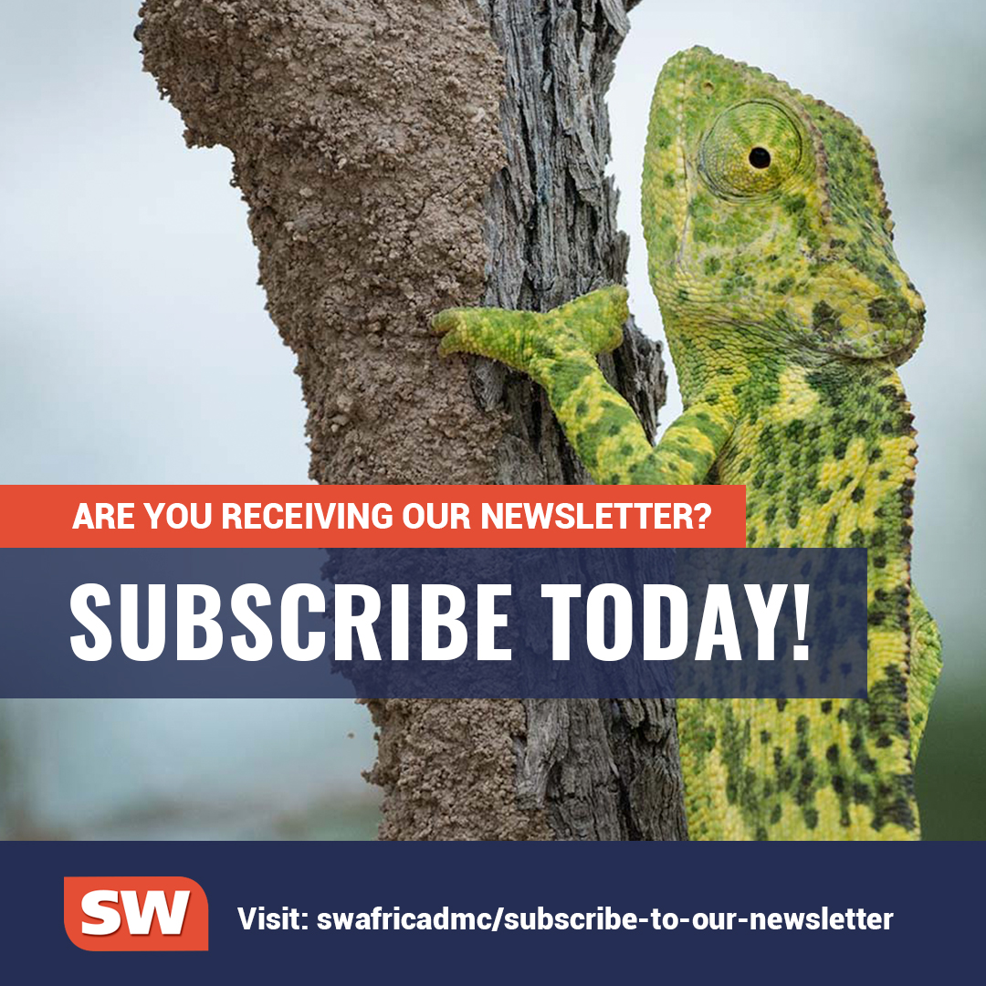 We give our subscribers interesting travel insights, the latest news updates and unique destination highlights!

Why miss out? Join our newsletter in a few seconds here: swafricadmc.com/subscribe-to-o…