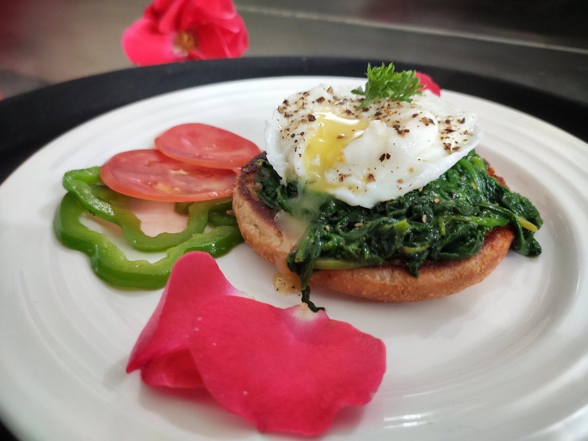 carvingmaster05's tweet photo. 🍳 Ouef Florentine
 Beetroot Salad 🥗
Poached egg, spinach, bread toast with veggies and next one beetroots with cottage cheese toast in vinaigrette dressing 🤩
#carvingmaster05
#pochedeggs #oeufflorentine #beetrootsalad #salad #colourful #VEGETABLES #oeuf #culinary #michelinstar https://t.co/seUTMLru90