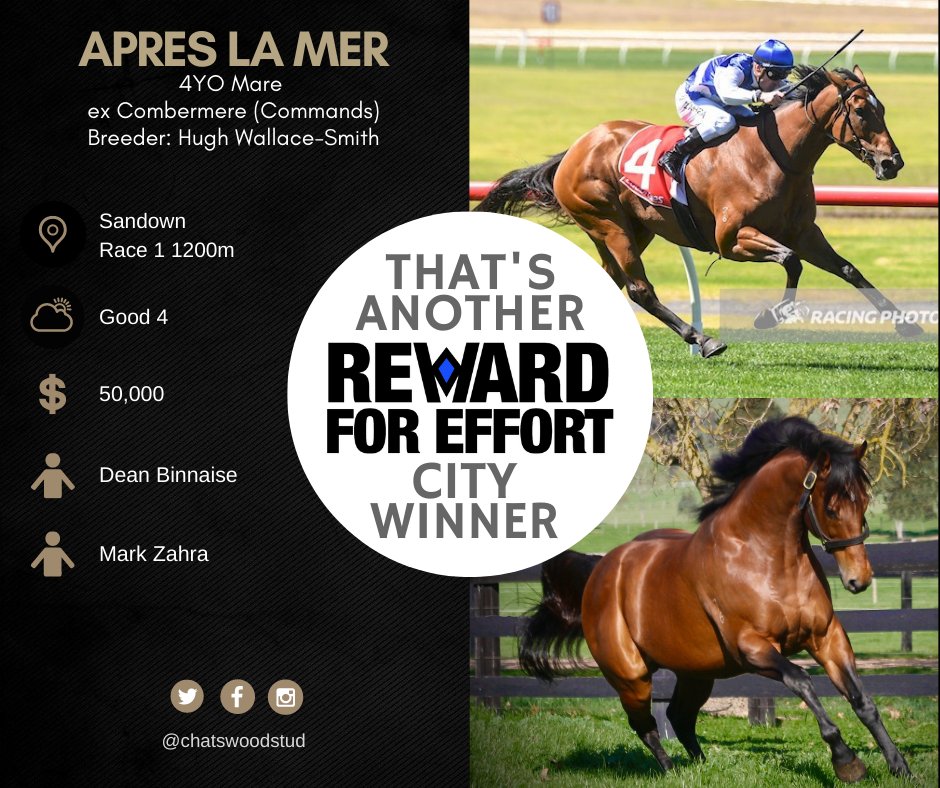 3 city winners since Saturday for Reward For Effort. Congratulations <a href="/dean_binaisse/">Dean Binaisse@888Racing</a>.