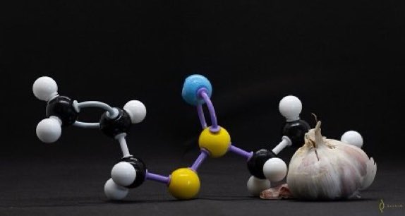 ¿Sabes que es la Alicina?

1. Mi primilla Alicia
2. El ingrediente secreto de la pócima de Panoramix
3. Un compuesto del ajo

Si no lo tienes claro debes leer este artículo y seguro que 
¡¡Alucinas con la Alicina!!

Venga no te quedes con la duda 🤔
Aquí 👉alycinsalud.com/la-alicina/