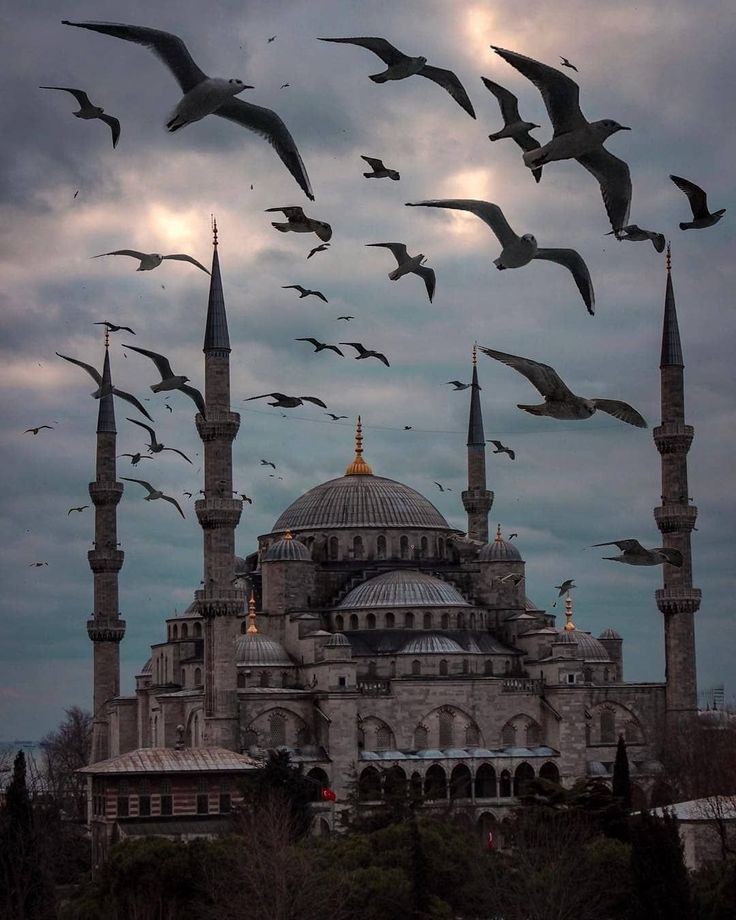 Hayırlı Kandiller ..

#MiraçKandili