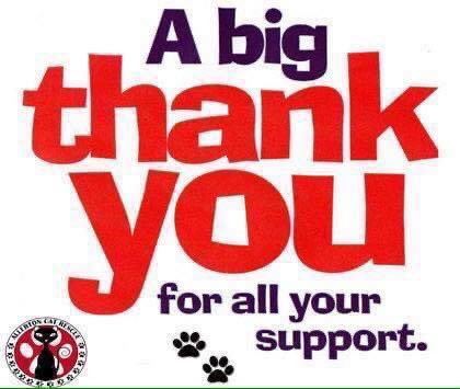 Allerton Cat Rescue tweet media