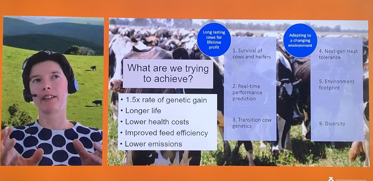 Dr Jo Newton OAM (@jonewton89) on Twitter photo Wrapping up day 1 of Herd’21 with <a href="/jenniepryce/">Prof Jennie Pryce</a> summarizing DairyBio21-26. Combining next-gen genomics & high tech phenotyping to deliver:
🐄long lasting cows for lifetime profit
🐄adapting to a changing environment
#herd21au Wrapping up day 1 of Herd’21 with <a href="/jenniepryce/">Prof Jennie Pryce</a> summarizing DairyBio21-26. Combining next-gen genomics & high tech phenotyping to deliver:
🐄long lasting cows for lifetime profit
🐄adapting to a changing environment
#herd21au