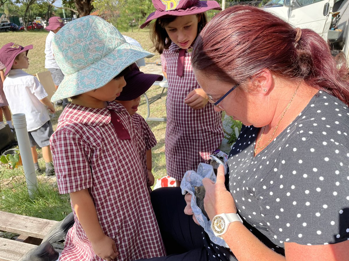 What a great afternoon with the community. Everyone got involved making possum boxes to go in the Biodiversity Garden. Lots of teamwork going on! #lovewhereyoulearn