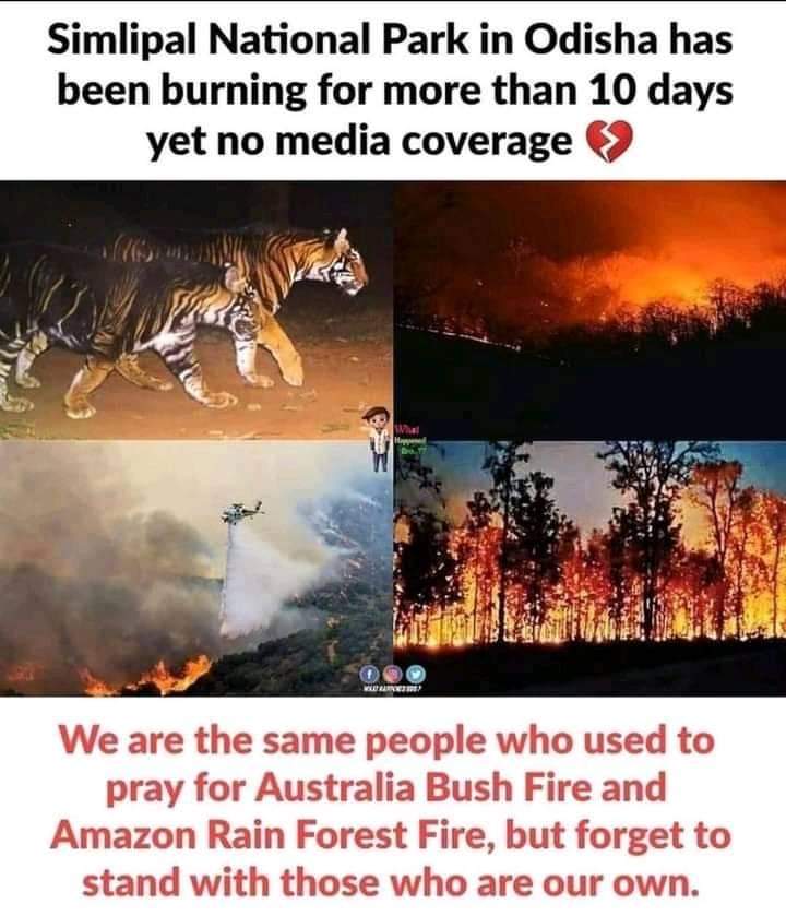_Anup07's tweet photo. We the people of India .....
#SaveSimilipal
It's truth of our nation and truth of those media trials who always speek for Foreign countries but they never remind for our own countries disasters ....@mayank_awasthi1
@ndtv @aajtak @TyagiUrmi @prisanya12 https://t.co/k4NNO6iIUF