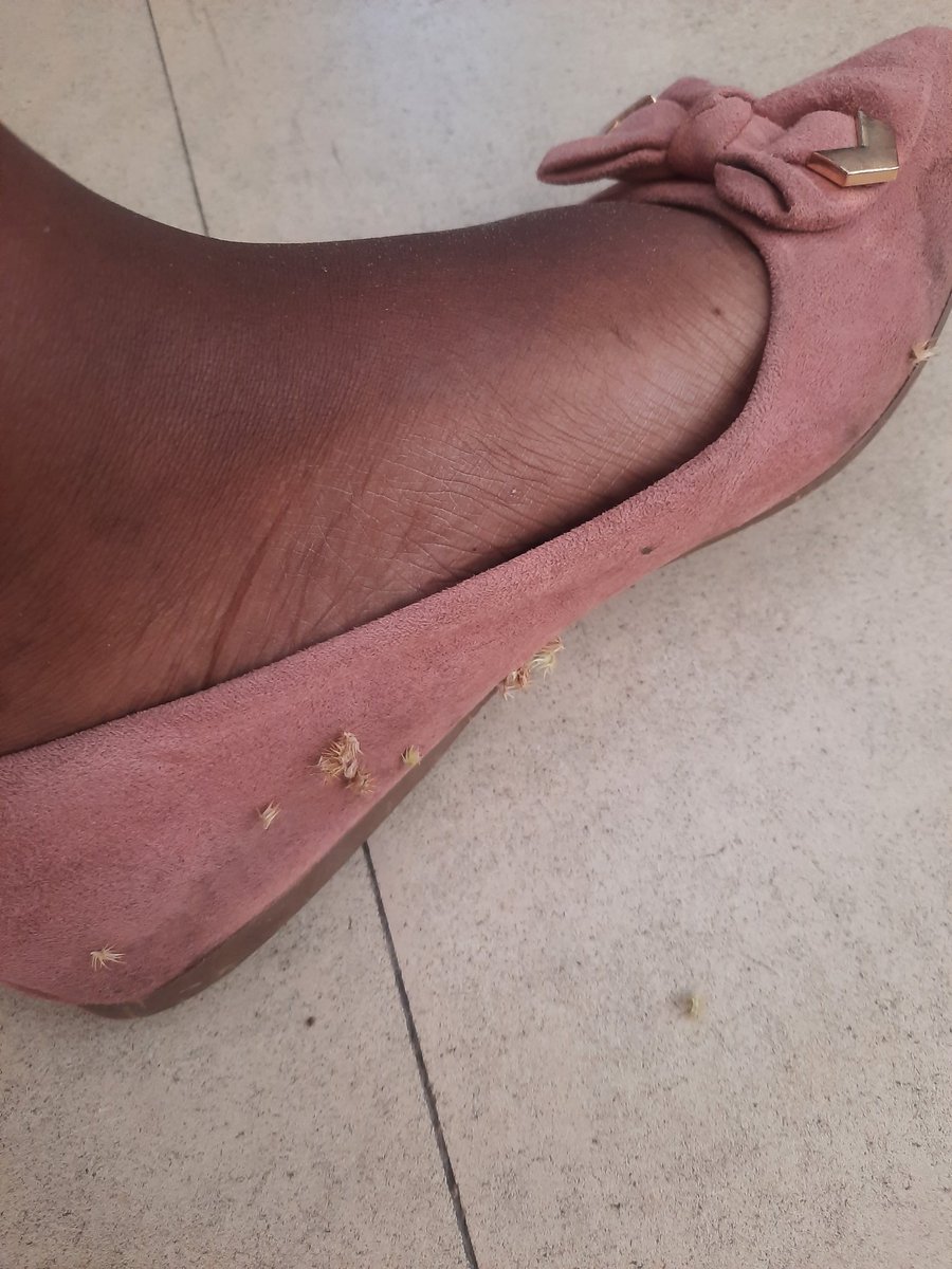 XeniaBotho's tweet photo. Tis the season to be miserable! He's back with a vengeance 😫😫😖😖
#Tlolele
#KgalagadiChronicles
#Ncaang https://t.co/5wq4mHn3jt