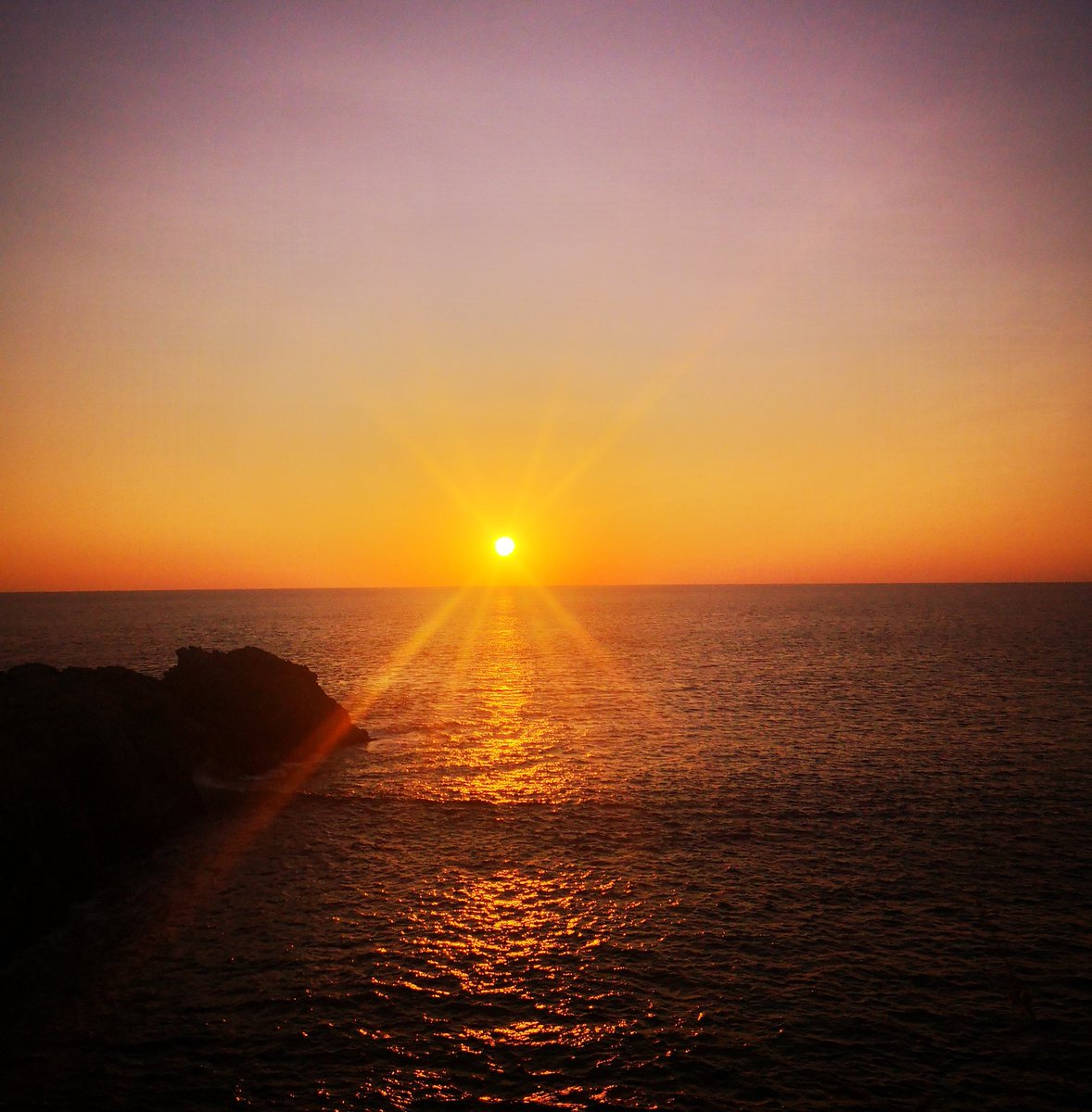 Melissa Iruegas tweet media