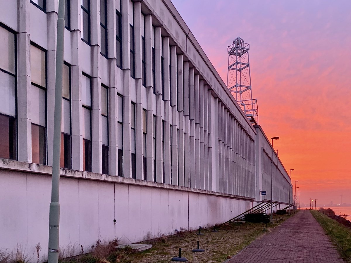 naтaѕcнa vd вolт tweet media