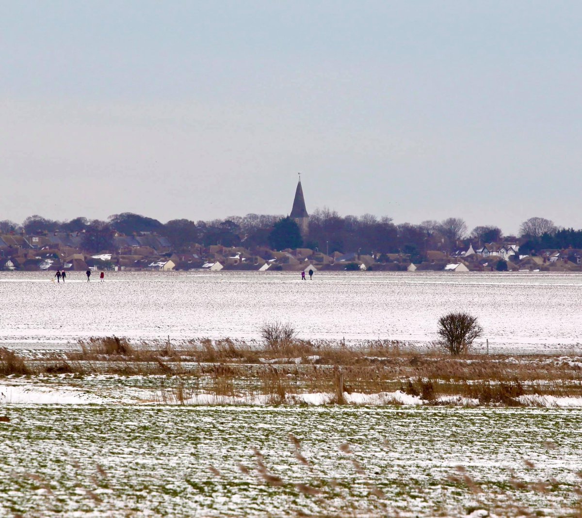 Save Our Fields, Westgate & Garlinge, Kent 🍃💚🍃 tweet media