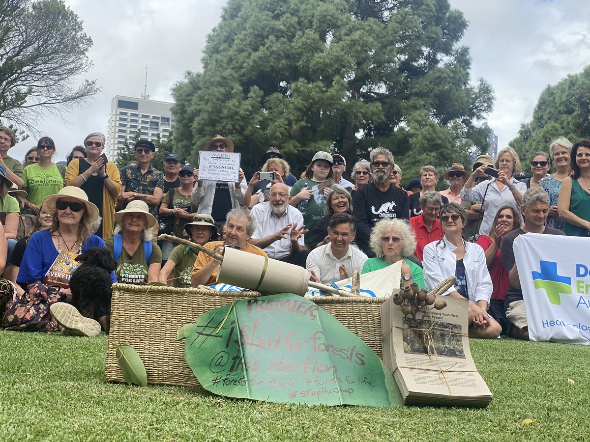 waforests's tweet photo. The Grand Postcard delivery of 29,000(!!) postcard petitions to @MarkMcGowanMP today at Dumas House.
#istandwithforests #stopthechop https://t.co/68bC3MUEHs