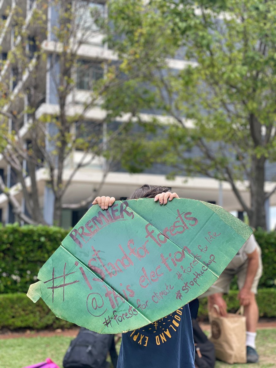 waforests's tweet photo. The Grand Postcard delivery of 29,000(!!) postcard petitions to @MarkMcGowanMP today at Dumas House.
#istandwithforests #stopthechop https://t.co/68bC3MUEHs