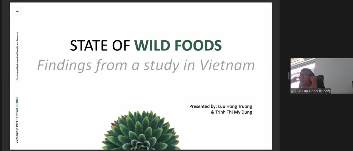 dazzlelabapis's tweet photo. @ntfp_ep @SIANIAgri Dr. Luu Hong Truong of SIE Vietnam presents their study on the state of wild foods in Vietnam.

#wildfoodsasia
#forestsforfood
#forestsforpeople https://t.co/F0IUoBQEBd