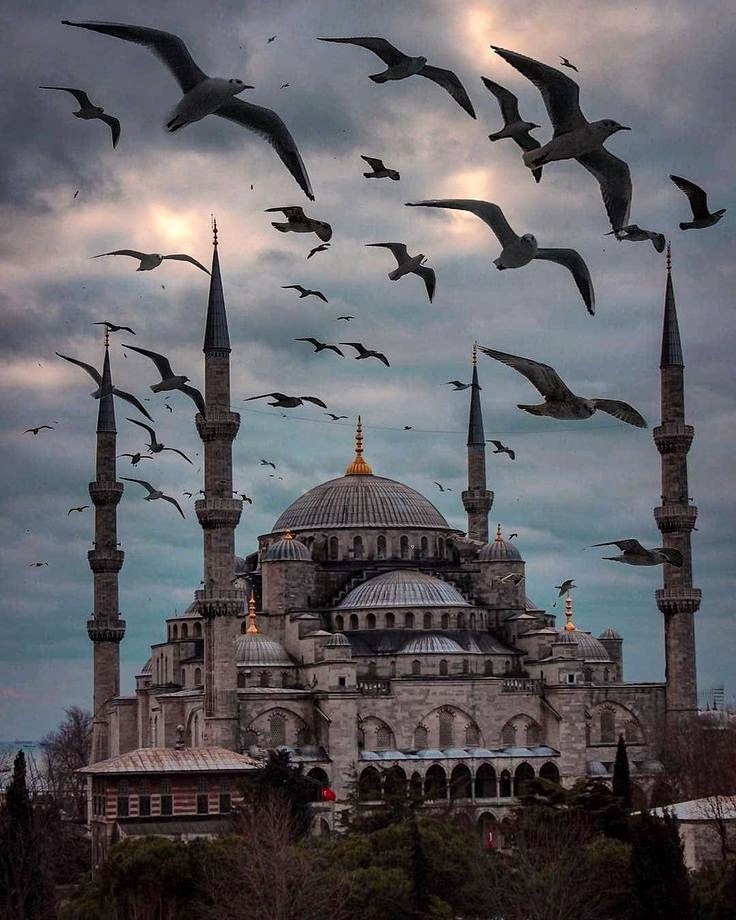 Dualarınızın kabul olması dileğiyle..
Miraç Kandilimiz mübarek olsun. Hayırlı kandiller 🙏🏼 #miraçkandili #akencevre