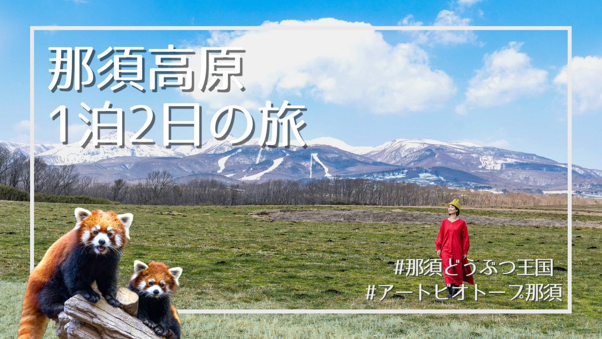 nasu animal kingdom tweet media