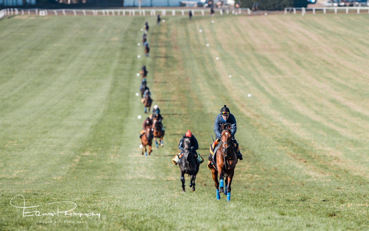 One of beautiful scenes in Newmarket with John &amp; Thady Gosden's string on Warren Hill Grass, and the first horse is reaching the top before the last one has started at the bottom.
<a href="/NewmarketGallop/">Newmarket Gallops</a> <a href="/DiscoverNKT/">DiscoverNKT</a> <a href="/bloodstocknews/">EBN</a> <a href="/BaileysFeeds/">Baileys Horse Feeds</a>