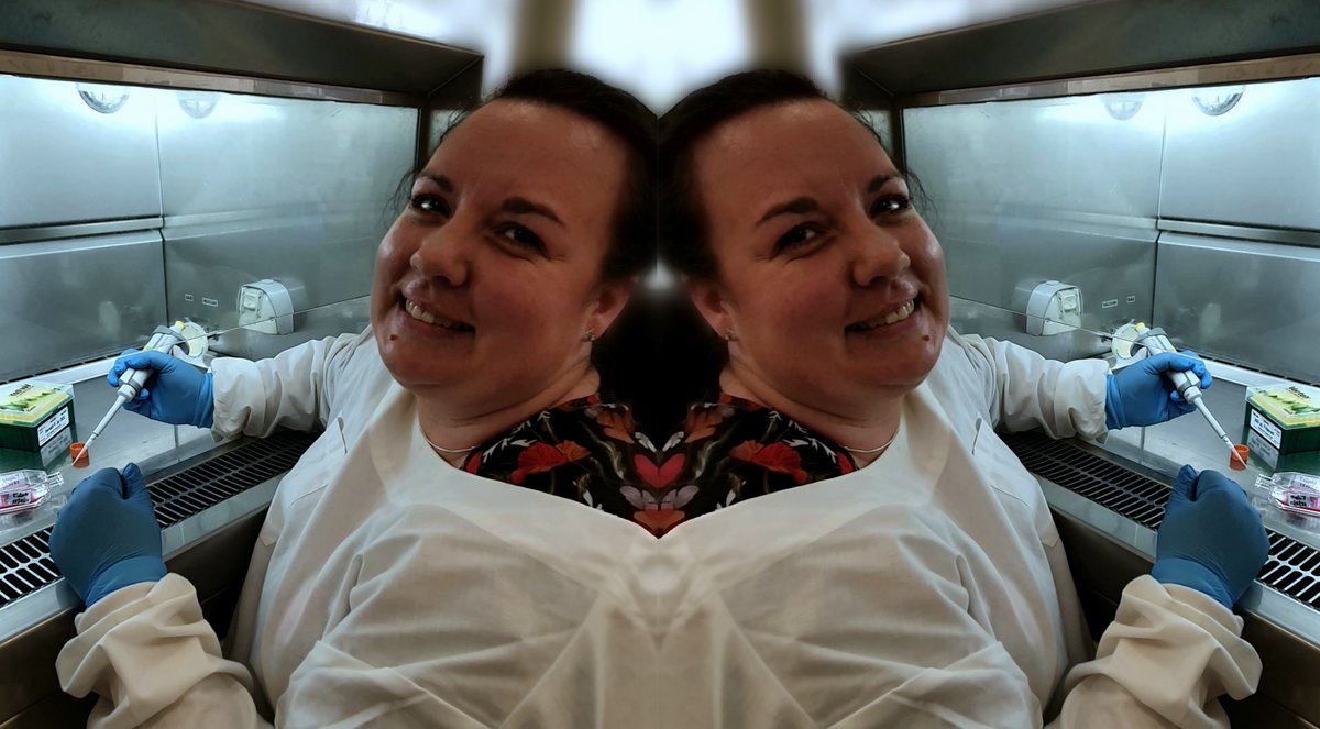 Susan Kinnear (@cqugradresearch) on Twitter photo More #RHDSelfie @CQUni ... Marie Sell gets busy spitting cells, but sadly hasn't yet been able to make a clone of herself to save effort on thesis writing. #genetherapy #PhDlife <a href="/MichelleBellin9/">Michelle Bellingan</a> More #RHDSelfie @CQUni ... Marie Sell gets busy spitting cells, but sadly hasn't yet been able to make a clone of herself to save effort on thesis writing. #genetherapy #PhDlife <a href="/MichelleBellin9/">Michelle Bellingan</a>