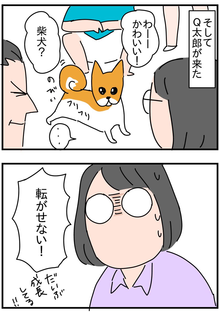実家のQ太郎を飼った経緯①
https://t.co/xkDietzY8q 