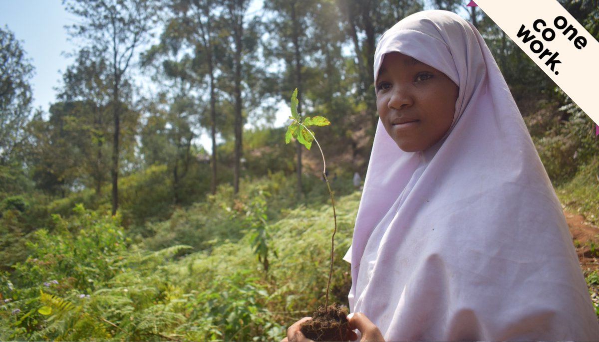onecoworkbcn's tweet photo. At OneCowork we take very seriously the future of our planet and we have already planted more than 9,981 trees on a 46.3-hectare site in Tanzania 🌳 🇹🇿 @ForestNation #plantatree #savetheplanet #environmentalfriendly https://t.co/y20SpEPow0