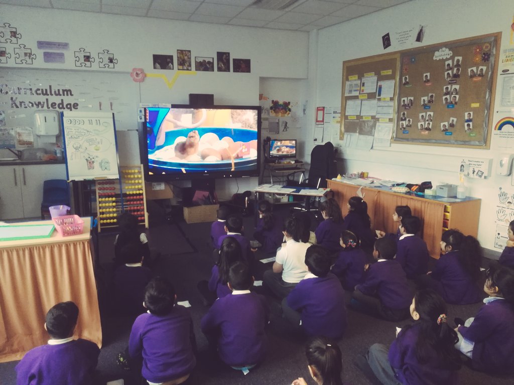 MrHeffernan_'s tweet photo. 1HE @AndertonPark had such a brilliant time learning about the life cycle of a chicken and watching a chick hatch LIVE in front of our eyes 😍! Such a special and amazing experience for #BritishScienceWeek
Thank you @encounteredu @NFUtweets @NFUEducation 👏🏻🐣 https://t.co/KCJgX6Txp0