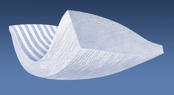 Embody_Inc's tweet photo. Embody Advances Biologic Augmentation Market with First-Of-Its-Kind Collagen Implant - https://t.co/bTe7m5F7cf https://t.co/7LQCxhX8hY