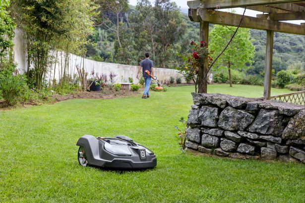 AutoLawnOrlando's tweet photo. Robotic Mowing – does all that mowing make allergies worse?

On the contrary, if you suffer from grass allergies or hayfever, Automower® is a great solution. Since you don’t need to be present when Automower® is cutting your lawn, you won't be exposed to allergens or pollen. https://t.co/xzGMIpXsVr