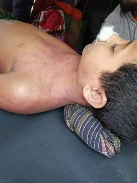 Fatema Ensia tweet media