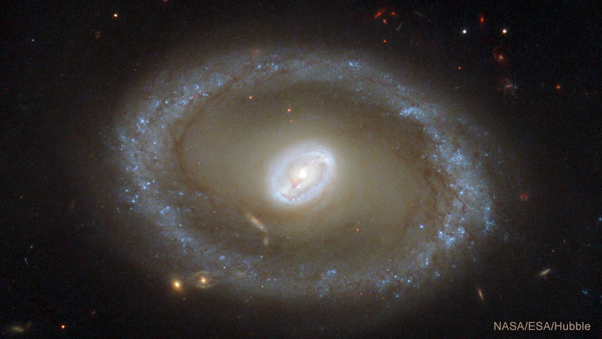 chandraxray's tweet photo. ✨Right #now Chandra is observing NGC 3081, a barred spiral galaxy located about 86 million light years from Earth. The galaxy's center is surrounded by a bright loop known as a resonance ring. The ring is filled with dazzling clusters of stars and bursts of new star formation.✨ https://t.co/EAQqgWEUWn