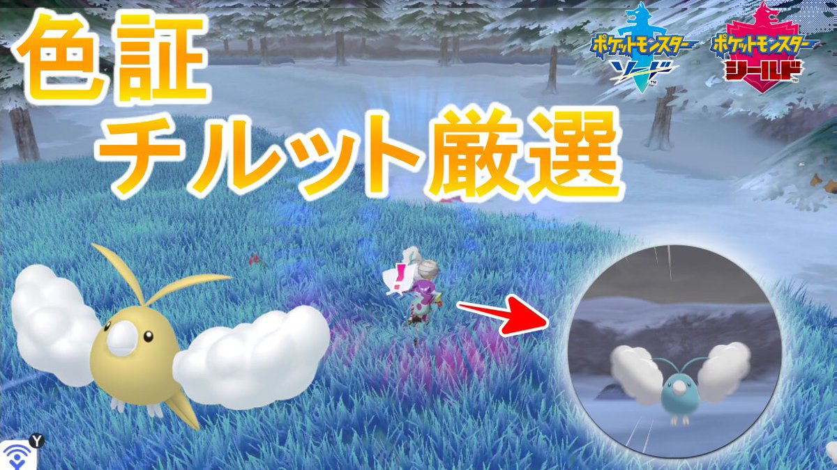 ソードシールド チルットの種族値 わざ 特性など能力と入手方法 ポケモン剣盾 攻略大百科 ソードシールド チルットの種族値 わざ 特性など能力と入手方法 ポケモン剣盾 攻略大百科