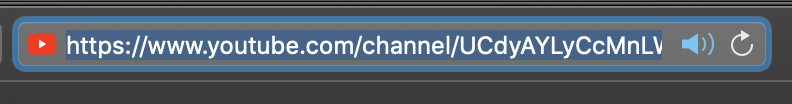 eyeofpatrick's tweet photo. @TeamYouTube No matter if Chrome, Safari or Tor Browser. If I enter "https://t.co/or9pwNElAP / eyeofpatrick" OR searching the channel "eyeofpatrick", the URL is always this, pardon, crap. 
And yes, I cleared all my cache!!! https://t.co/C3erCQituD