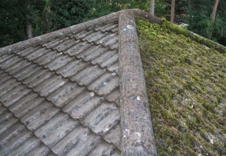 render_and's tweet image. ⭐ Are you tired of moss?
⭐ Gutters constantly blocked
⭐ Do your paths and drive look
      tired and dirty?
📞 Call our team today to find 
       out more