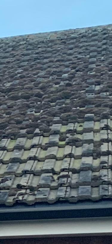 render_and's tweet image. ⭐ Are you tired of moss?
⭐ Gutters constantly blocked
⭐ Do your paths and drive look
      tired and dirty?
📞 Call our team today to find 
       out more