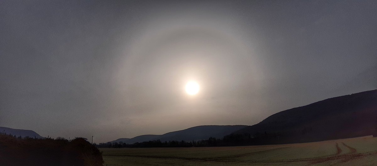 capilatus's tweet photo. Ja,so langsam geht die Halo ring #Lichteffekte am Horizont wieder los,gestern auch ein Versuch in #Obermaßfeld aber in #Freiburg sah es Fotogener aus https://t.co/3ZZOFpyI35