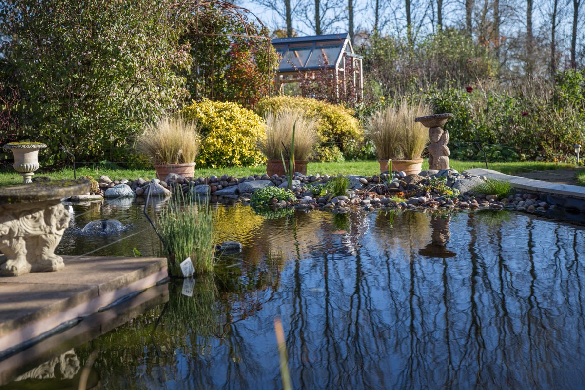 AquaLiners Direct tweet media