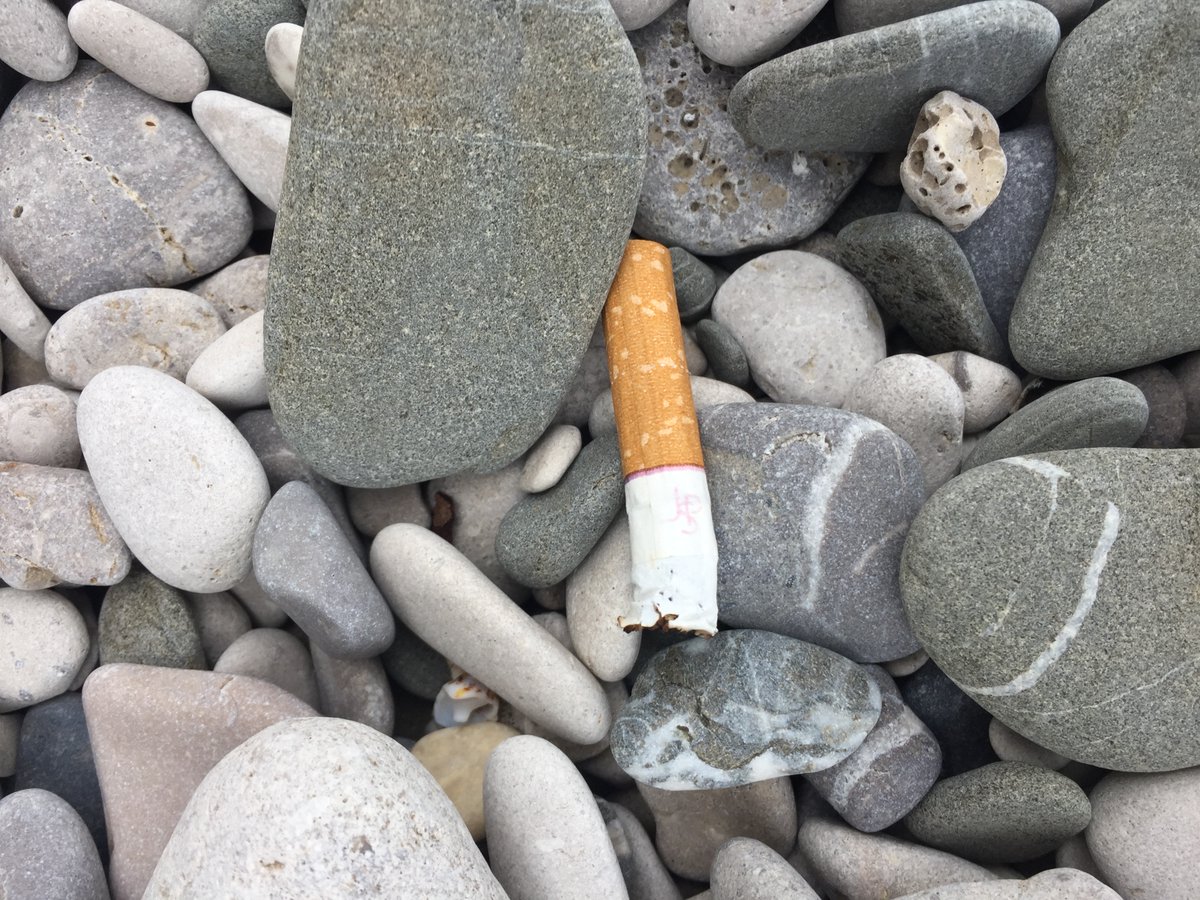 AMPMIRAMARE's tweet photo. Gli #spiaggiati di #Miramare giungono da #mare e da terra. C'è ancora tanto da fare per aumentare la consapevolezza delle persone sulla gestione dei #rifiuti.
Ma migliorare si può e possiamo contribuire con il questionario #EcoFvg di @regioneFVGit 
✍️ https://t.co/CkNjVSixJj https://t.co/R0emZ6tYc4