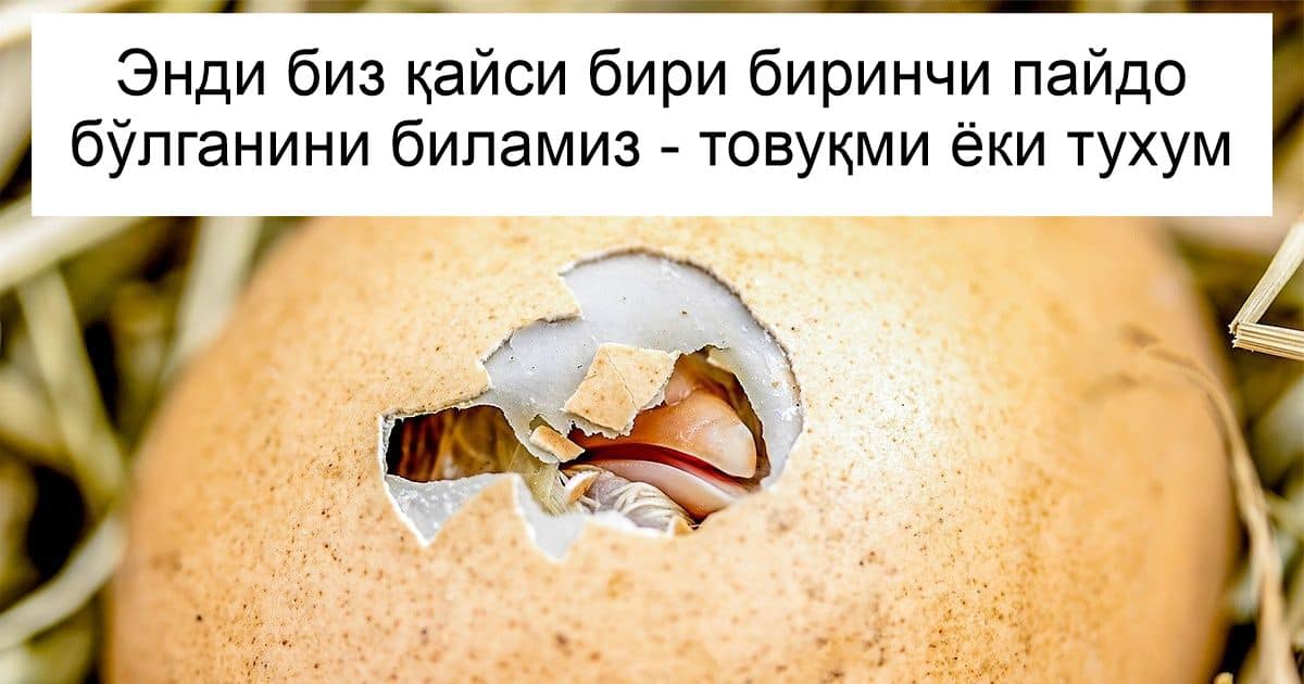 10та доимий саволга фан жавоб топиб бўлган
lifehaq.uz/10ta-doimij-sa…

10ta doimiy savolga fan javob topib bo’lgan
lifehaq.uz/uz-latin/10ta-…

<a href="/lifehaquz/">LifeHaq.uz</a> 
#LifeHaq #Lifehack #Lifehak