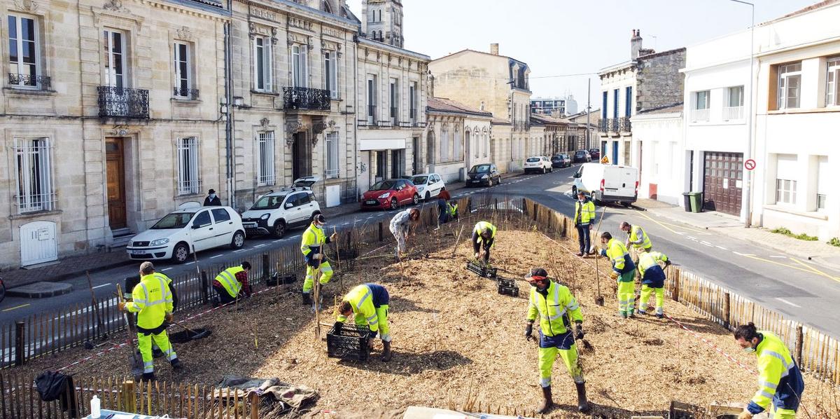 Bordeaux tweet media