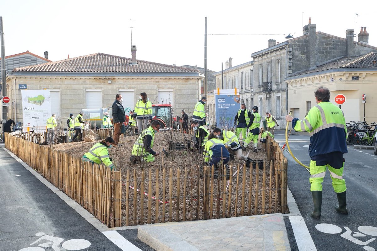 Bordeaux tweet media