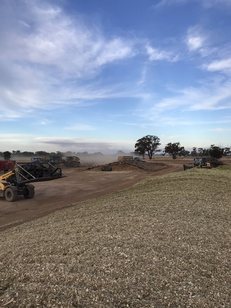 scott_fitzerald's tweet photo. Another day and we should be able to finish this stack, corn looking good https://t.co/75q5gKRMyh