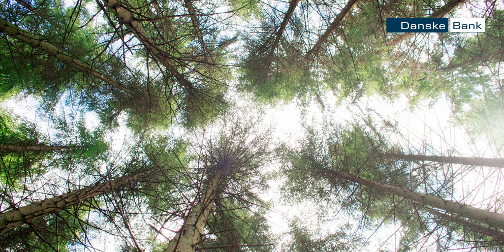 Onko valitsemasi rahasto vastuullinen? Pelkän nimikkeen perusteella tuotteen tai palvelun loppukäyttäjän ei ole aina helppoa tietää, miten ympäristöystävällinen tuote on tai mitä kaikkea sen tuotantoprosessi on pitänyt sisällään, kirjoittaa <a href="/petski/">Peter Lindstrom</a> 👉 bit.ly/38rcwme