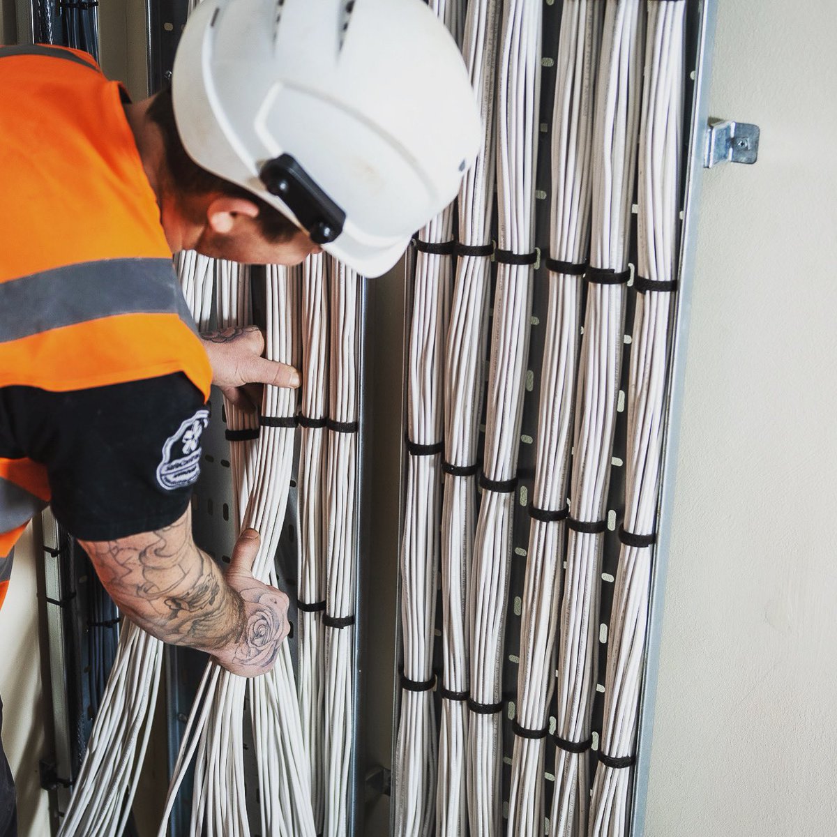 ScenariioLtd's tweet image. A well designed structured cabling system will continue to serve your building occupants well, even when requirements change and technology evolves. #structuredcabling #runsoncommscope #datanetwork @CactusImages