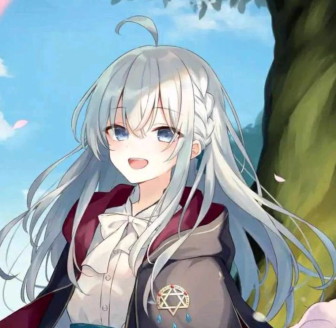 物似主人型
(ほうきさんかわいい) 