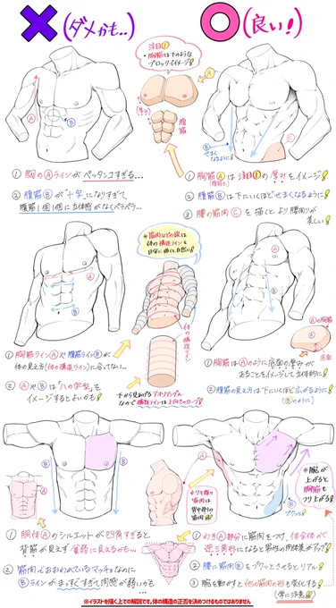 【男性のカラダの描き方】

意外と知らないポイント✨ベスト4✨

①肩は弓状にカーブ(湾曲)していることをちゃんとイメージして描く

②腕の比率は
【肩〜ヒジ】と【ヒジ〜手首】が1:1

③自然なポーズというのは左右対称に整いすぎない

④ナナメ構図はカラダのパースと遠近感を見極める! 
