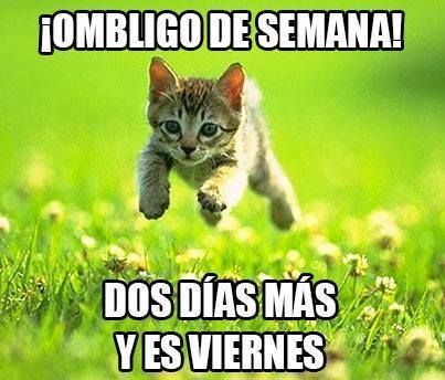 ¡Buen miércoles frutilover! Ombligo de la semana 🙊

Hoy es un buen día para estar en casa y disfrutar de tu familia, no para hacer el súper.

Recibe tus compras en la puerta de tu hogar, haz tu pedido haciendo clic aquí wa.me/524432725047

#DistribuidoraGranados