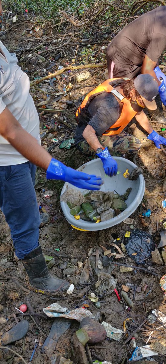 Week 290 .

Ocean and mangroves bearing the brunt of our madness  - plastic pollution .

One of our passions - to caress these beautiful ecosystem with boats and gloves.

Our bit today with <a href="/adidas/">adidas</a> india and <a href="/MangroveForest/">Mangrove Foundation of Maharashtra</a>  -  for our country .

9000 kgs of plastic removed.